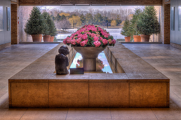 Spring Display in Regenstein