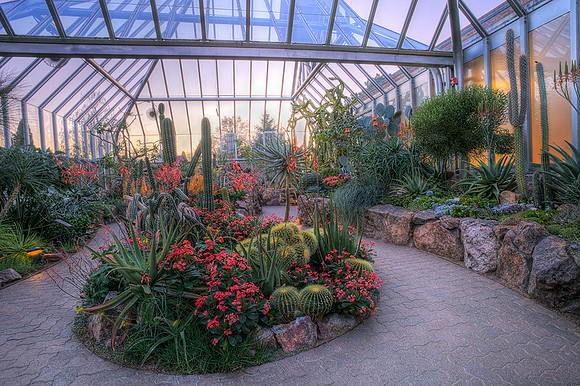 Arid Greenhouse in Bloom