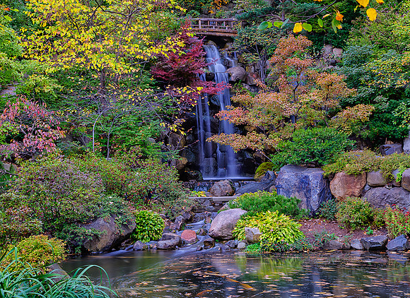 Anderson Japanese Garden, Rockford