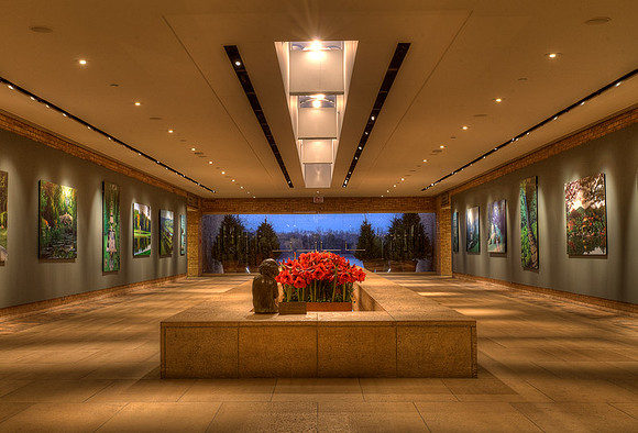 Regenstein Center Holiday Display