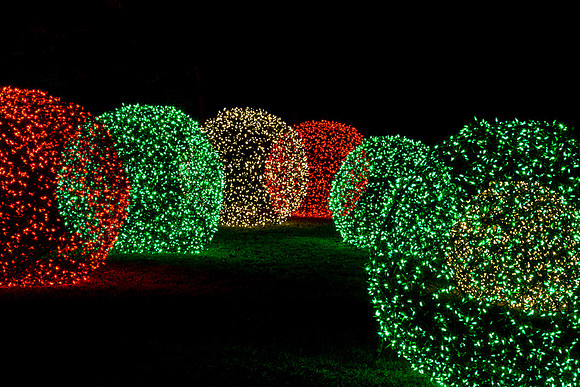 Holiday Lights at the Garden