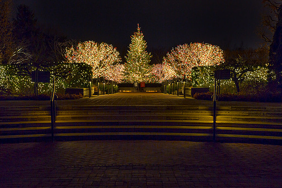 Holiday Lights in the Heritage Garden