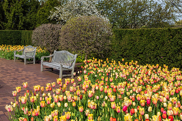 Circle Garden in Spring