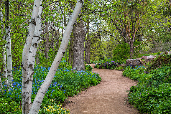 Sensory Garden Woods in Spring