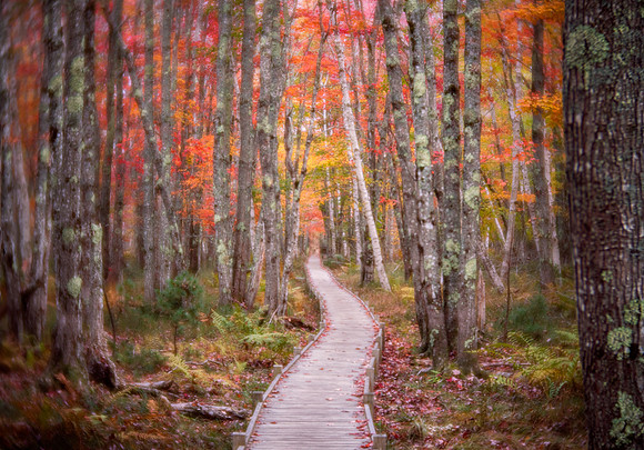 Jesup Path, Acadia