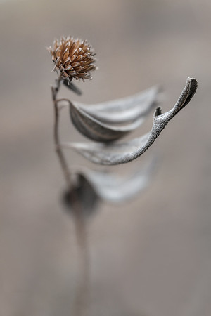 Invitation to Dance