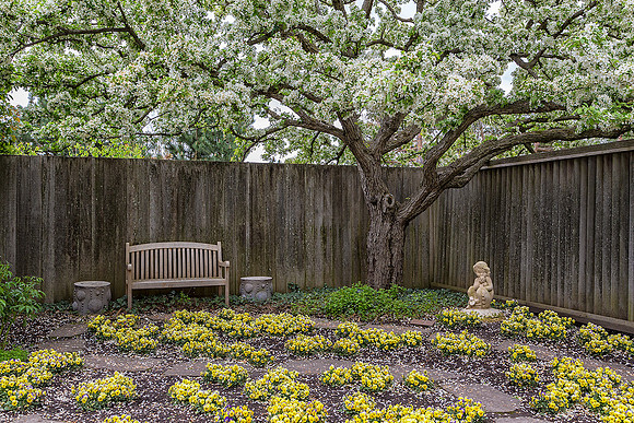Spring at the Garden