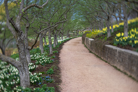 Spring Path