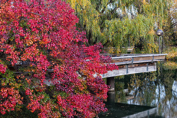 Fall Color at the Visitor's Center