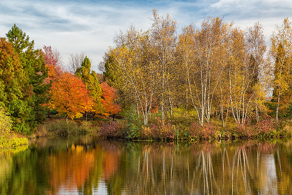 Spider Island in Fall