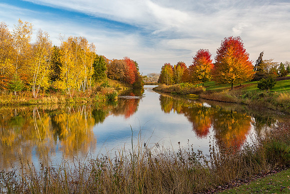The Garden in Fall