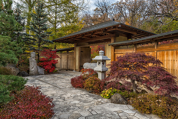 Anderson Japanese Garden