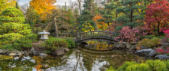 Anderson Japanese Garden