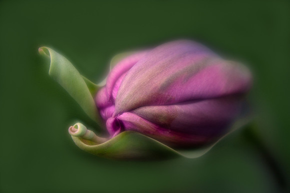 Meditation