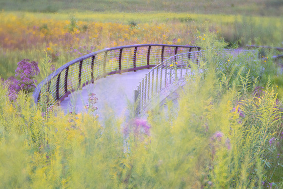 Longwood Gardens Meadow
