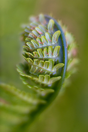Becoming
