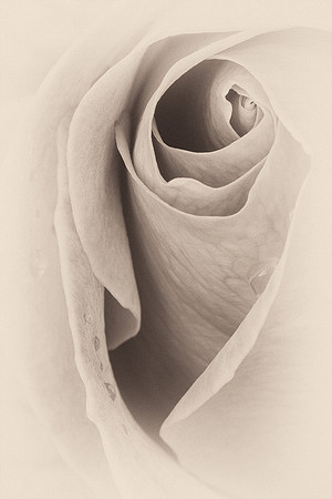 The Layers Within