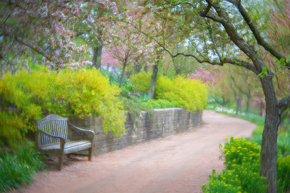 Magical Path