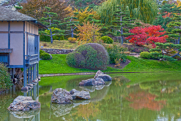 Japanese Garden in Fall