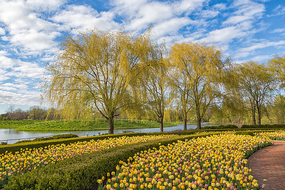 Crescent Garden in Spring