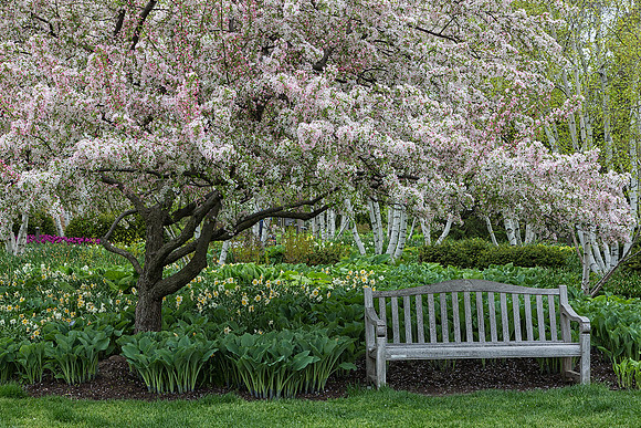 Sit and Soak in the Beauty
