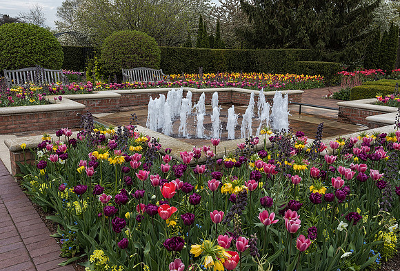 Circle Garden Spring 2017