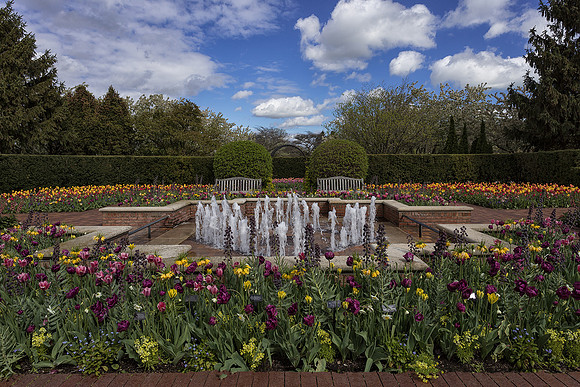 Circle Garden Spring 2017