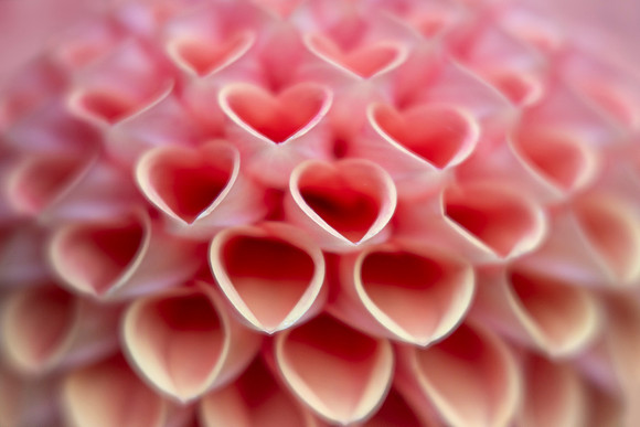 Filled With Love