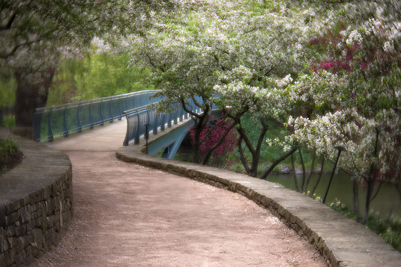 Garden Bridge in Spring