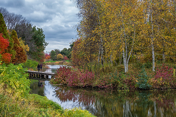 Spider Island in Fall
