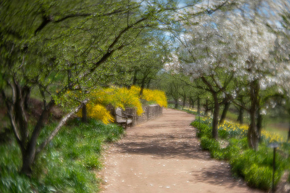 Spring at the Garden