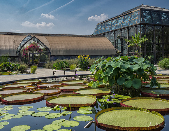 Longwood Gardens