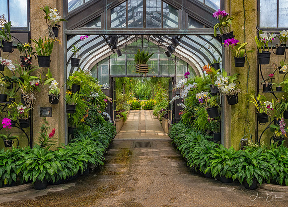 Longwood Gardens