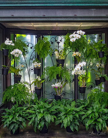 Longwood Gardens