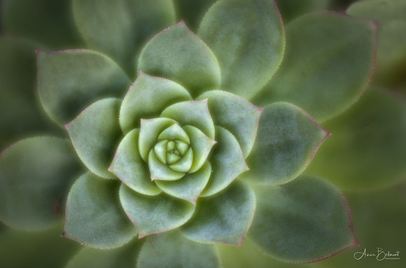 Symmetry