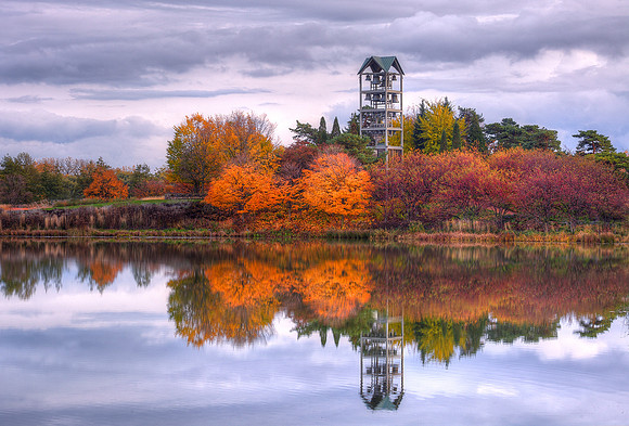 Evening Island in Fall