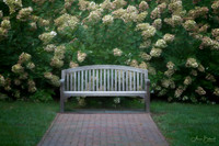 Garden Bench at Longwood Gardens