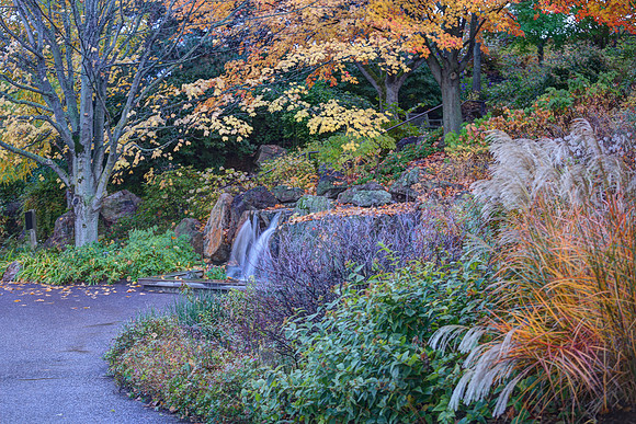 Waterfall Garden in Fall
