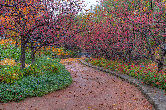 Garden Path