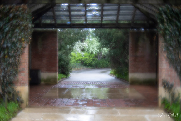 After the Rain