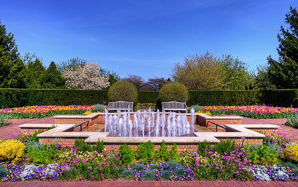 Circle Garden in Spring