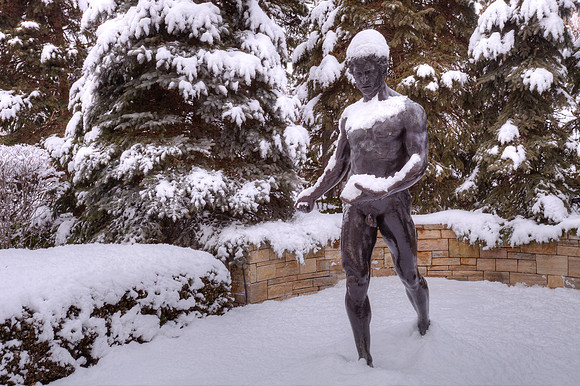 The Sower in Winter