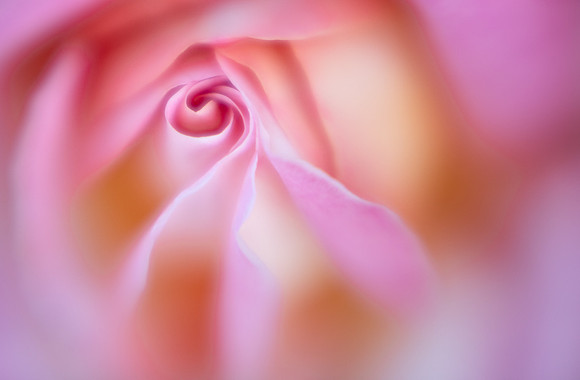 Unfolding