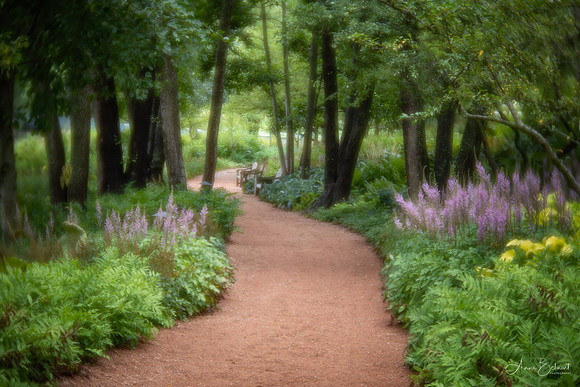 Garden Path