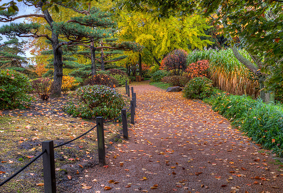 Path in the Japanese Garden