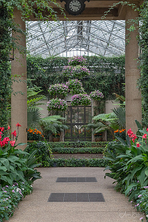 Longwood Gardens Conservatory