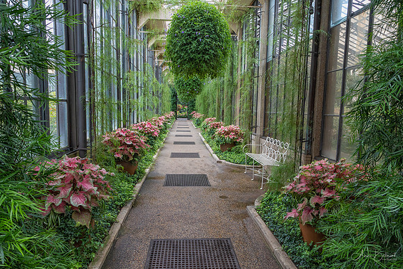 Longwood Gardens Conservatory