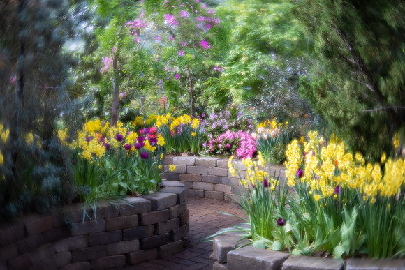 Spring Path