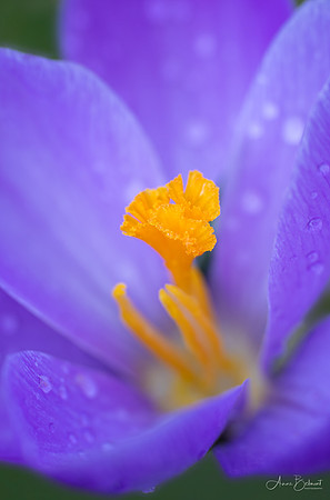 Reaching for the Raindrops