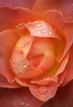 After the Rain
